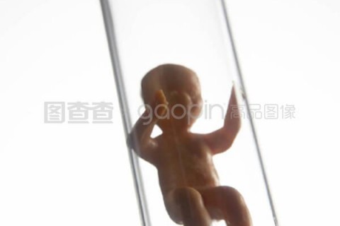 http://tianjin.vdtfzz.com/post/197.html|天津试管助孕