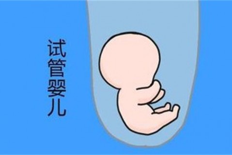 http://tianjin.vdtfzz.com/post/194.html|天津新闻中心