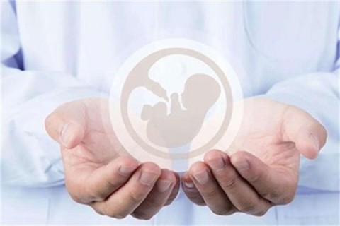 http://tianjin.vdtfzz.com/post/214.html|天津人工试管